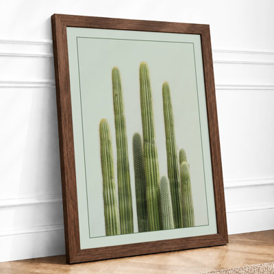 Columnar Cacti Study Botanical - Framed Print