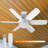 Fans Lights With Remote, 6 Speed 3 Color Fan Lights In Summer With Extender