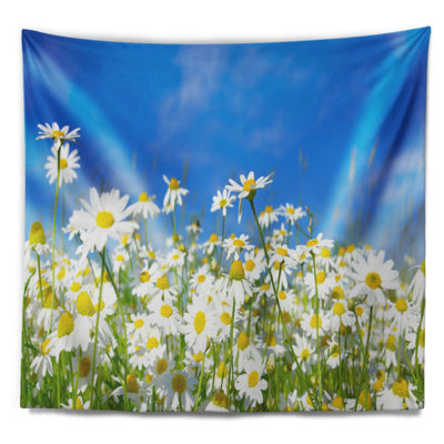Motif floral de marguerites blanches sous un ciel bleu vif