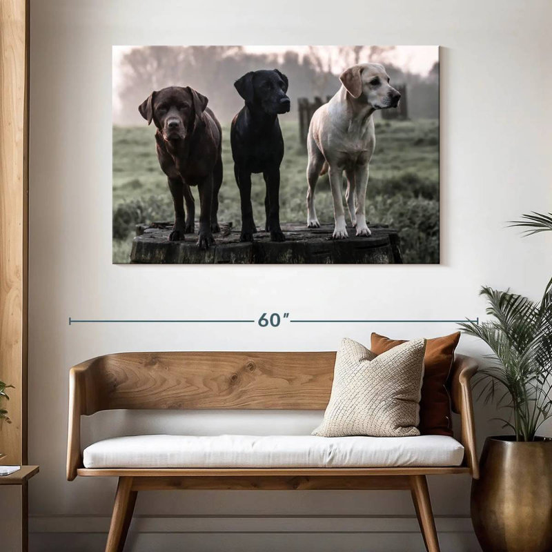 Brampt Labrador Dogs, H 32 po x l 48 po