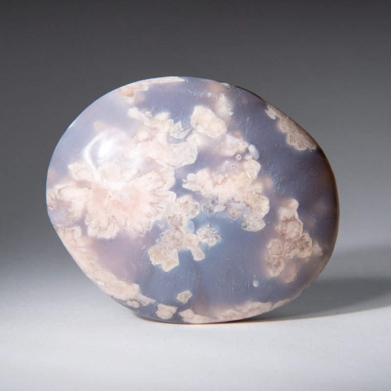 Véritable agate florale polie (grande) pierre de palmier