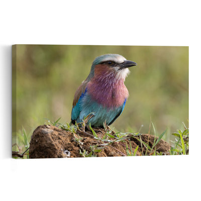 Vibrant Lilac Roller Colorful Peaceful Serene Bird Lilac Nature Tropical Wall Art Print 1 Piece Wrapped Canvas Wall Art