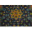 Tapis traditionnel en laine 8 x 11