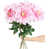 Pink selected