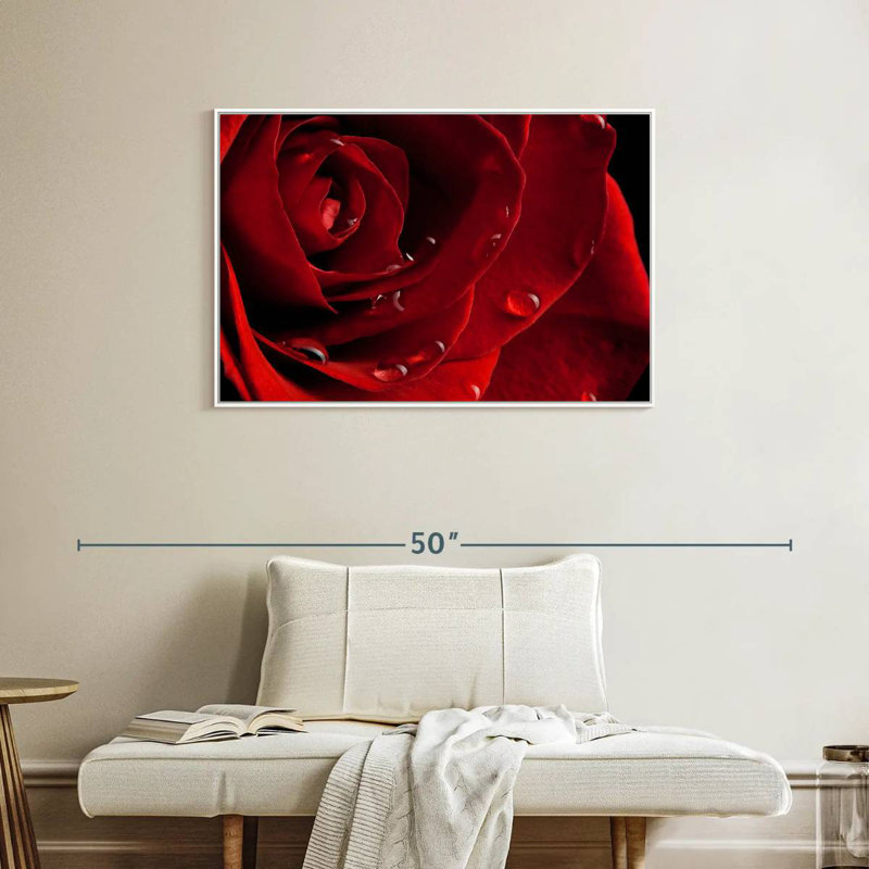 Rose rouge fraîche, Cadre flottant blanc, 37 po x 25 po