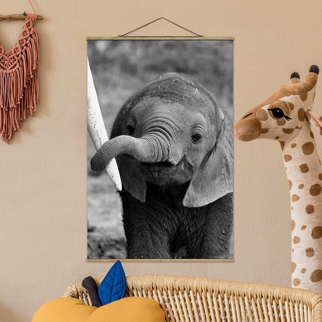 Stoffbild Baby Elephant