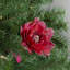 Bouquet de fleurs 20,75 po-181467198