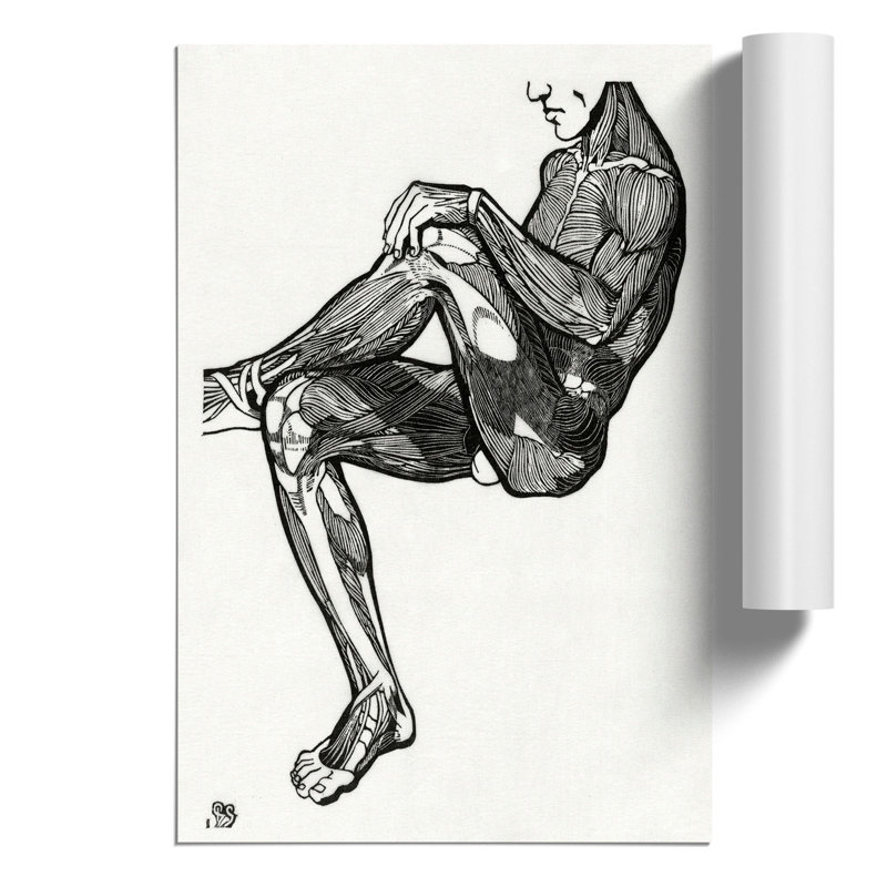 Anatomical Study Of A Man Vol.16 by Reijer Stolk - No Frame Painting, 59cm H x 42cm W x 0.1cm D