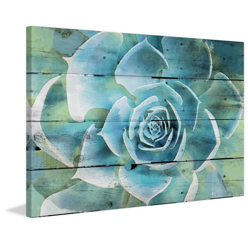 « succulent extravaganza », reproduction d’art sur toile tendue, H 12 po x l 18 po