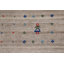 Tapis tribal Gabbeh 8 x 10
