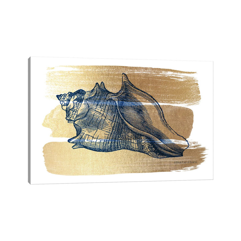 Brushed Gold Seashell by Bluebird Barn - Wrapped Canvas Painting, 20.32 cm H x 30.48 cm W