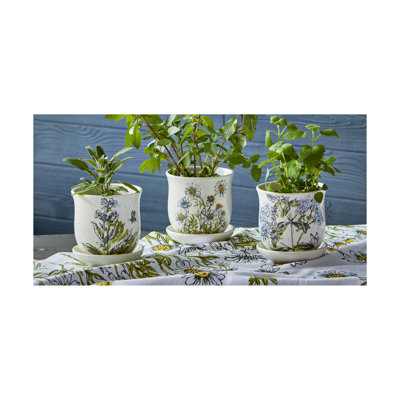 Sage Planter W/ Saucer Set