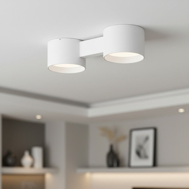 UltraBeam 20 Watt Twin LED Flush Ceiling Light Fixture, White