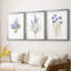 Lilas botanique délicat - impression encadrée sur mesure de qualité supérieure - 3 pièces-833592506-833592505
