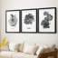 B&W Plante d'intérieur I - Impression encadrée sur mesure de qualité supérieure - 3 pièces-1042951804-1042951806