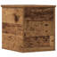 Camp Trunk / Footlocker-555987799