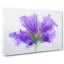 Purple Geranium Flower In Abstract - Wrapped Canvas-55337584