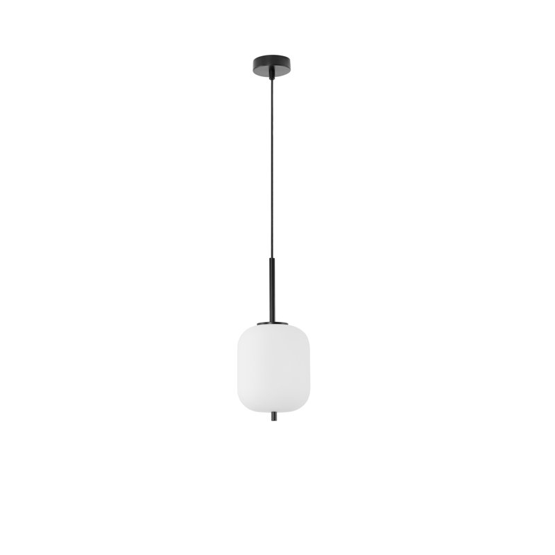 1 - Light Black Bulb Pendant