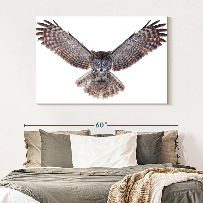 Owl Power, H 34 po x l 51 po