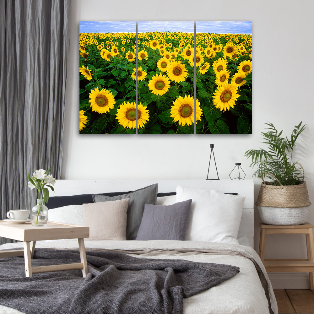 Leinwandbild Sunflowers Meadow