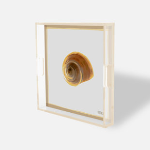 Spirale dorée