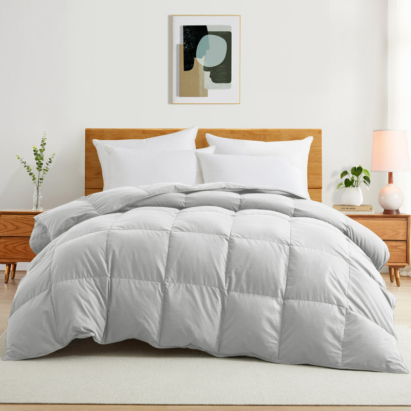  Soft All-Season Down Feather Fiber Comforter - Cozy, Fluffy Duvet Insert with Corner Tabs for Secure Fit, Light Gray