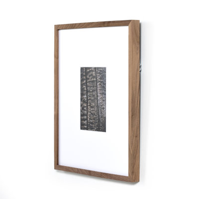 Char IV Framed Photographic Print