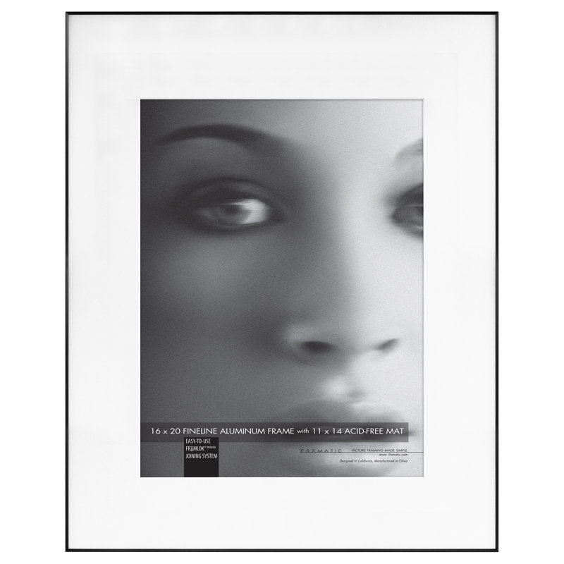 Fineline Metal Picture Frame with Mat, Black