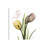 Faith Tulips by Albert Koetsier - Wrapped Canvas Print-715576064