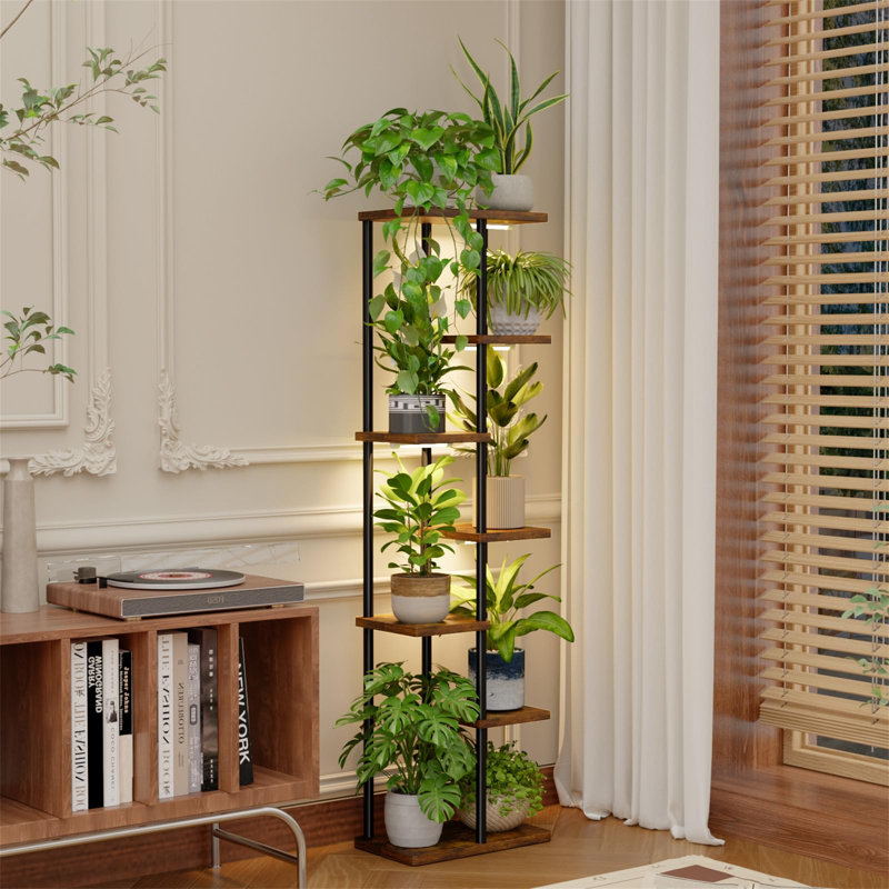 Plant Stand - Set of 5
