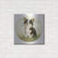 " Chihuahua Sentadito " by John Silver