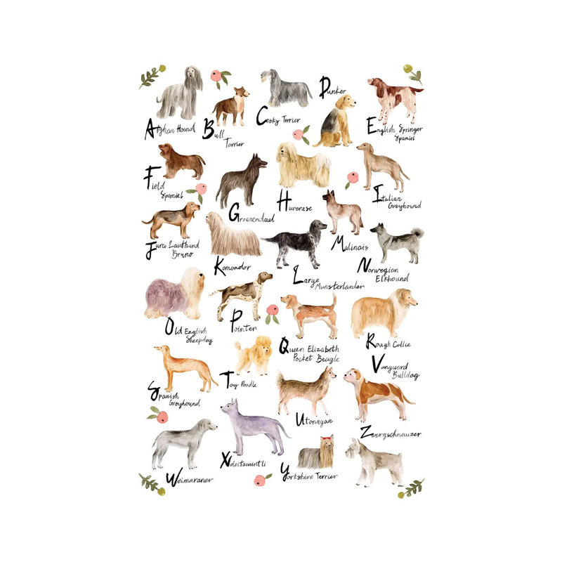 Dog Alphabet by Melissa Wang - Wrapped Canvas Print, 30.48cm H x 20.32cm W x 1.91cm D