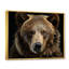 «Bear Portrait - Bear», reproduction d'art sur toile encadrée-520721078-492327684-520721073