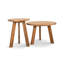 Link Solid Wood Nesting End Table