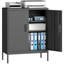 80cm Wide Steel File Cabinet-636038253