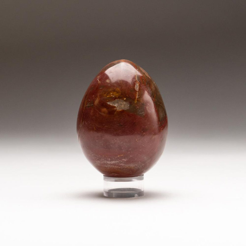 Petrified Wood Egg, Yellow/Brown, 3" H x 2" W x 2" D