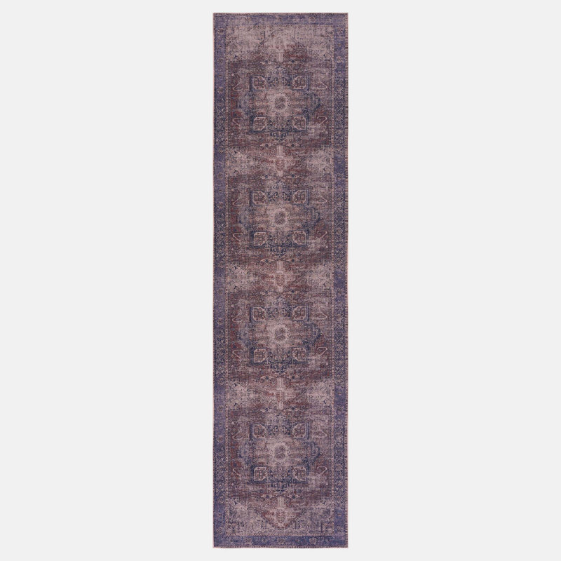 Olyne Rug, Runner 2'6" x 10'