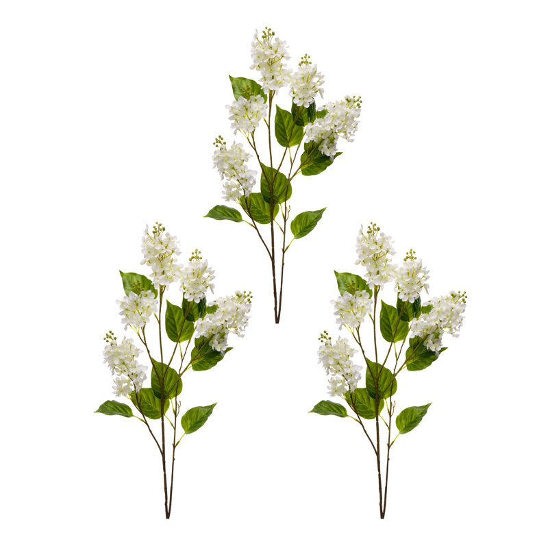 40 po lilas Spring Cut