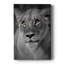 Portrait de lionne - galerie Cavas-108828361