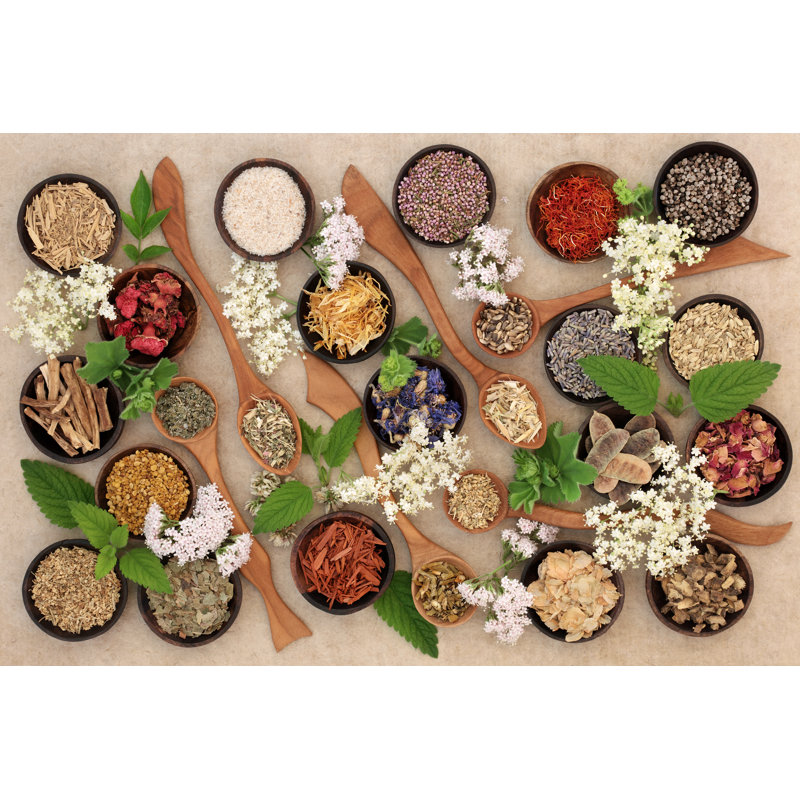 Leando Leando Herbal Medicine Selection - Wrapped Canvas Print, 51cm H x 76cm W x 3.8cm D