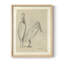 "Vintage S Croquis III" sur papier
