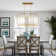 Jesli 6 - Light Farmhouse Large Linear Lantern Open Frame Chandelier