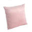Housse de coussin en velours Kaetzel