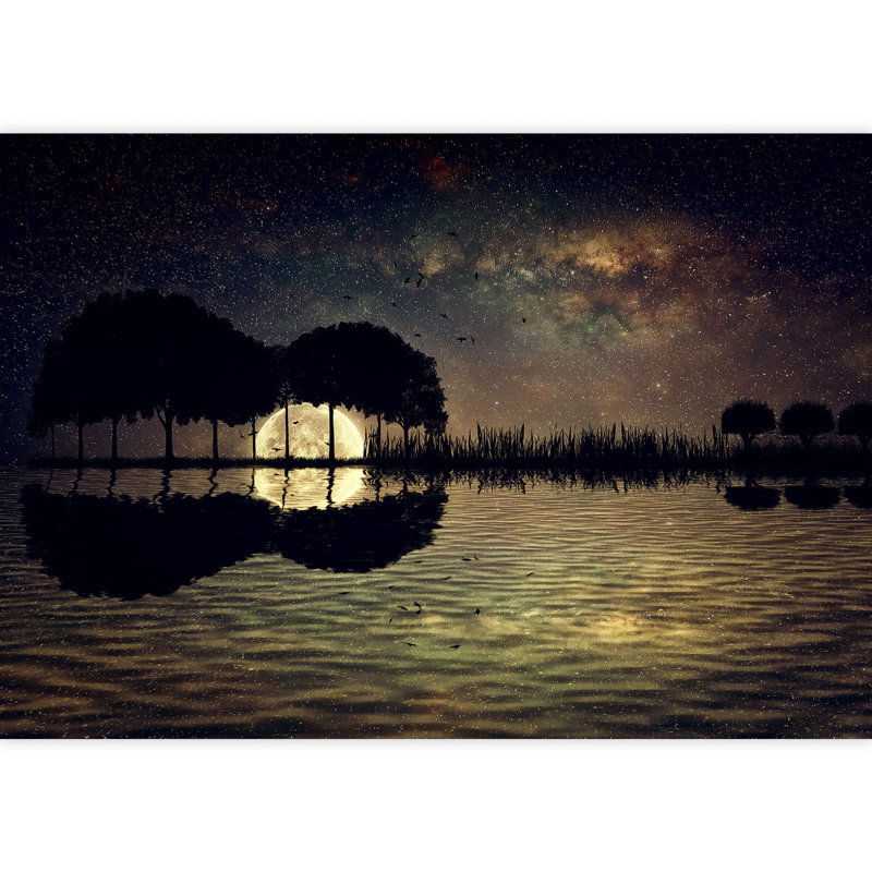 Moon Border, 66" L x 96" W
