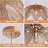 Farmhouse Pendant Light