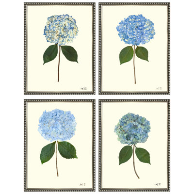 Pressed Hydrangea Set by Sandy Whitaker
