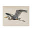 « blue héron rendering iii », reproduction sur toile tendue-522606796