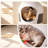 2 Storey All In One Cat Castle - White