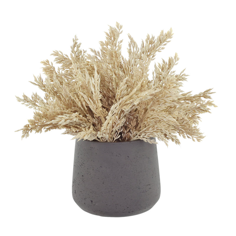 Pampas Arranged in Fiberstone Pot