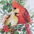  Holiday Cardinal Dishtowel Set Of 2
